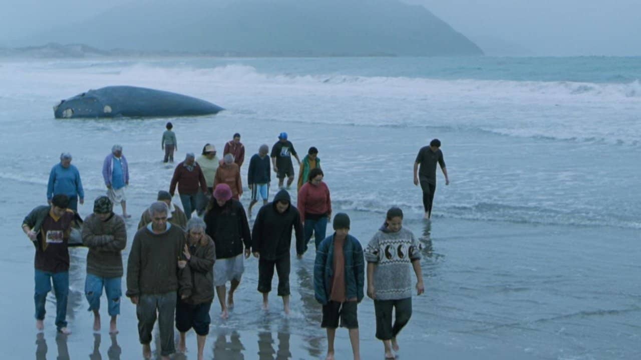 Whale Rider backdrop