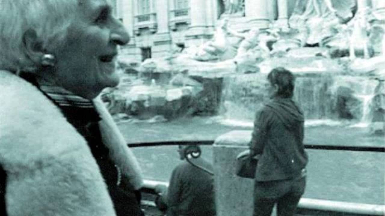 THE INTERPRETER OF BLACK AND WHITE FILMS backdrop