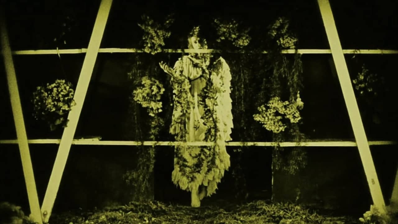 Miracle of Flowers backdrop
