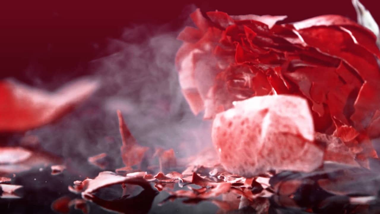 Shattered Hearts backdrop