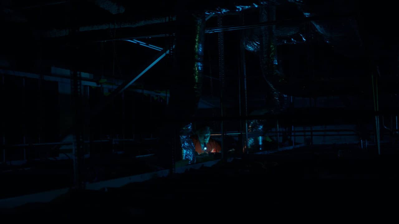 The Walls backdrop