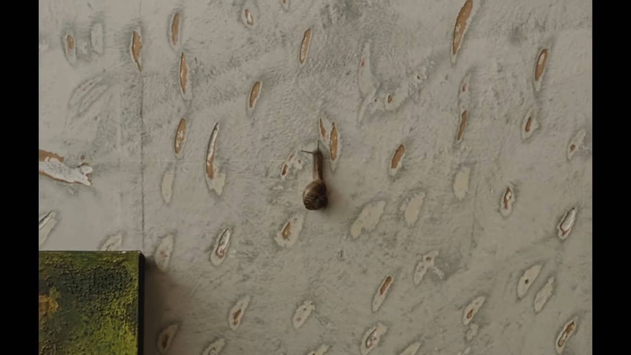 The Mark On The Wall backdrop