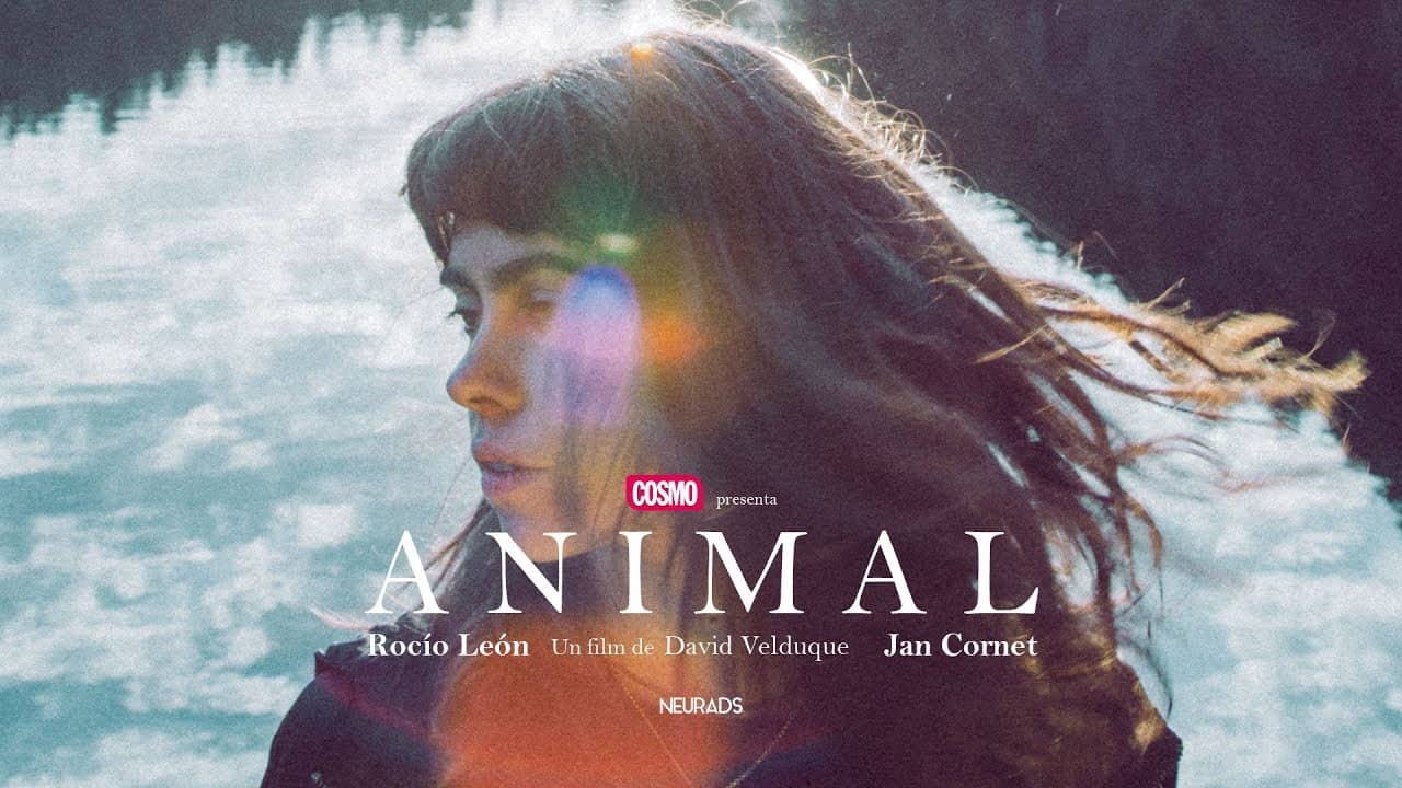 Animal backdrop