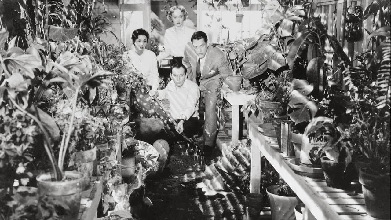 Invasion of the Body Snatchers backdrop