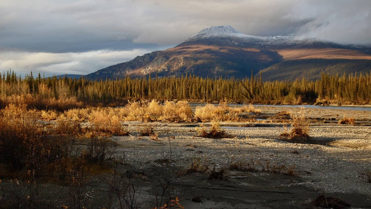 Arctic Daughter: A Lifetime of Wilderness backdrop