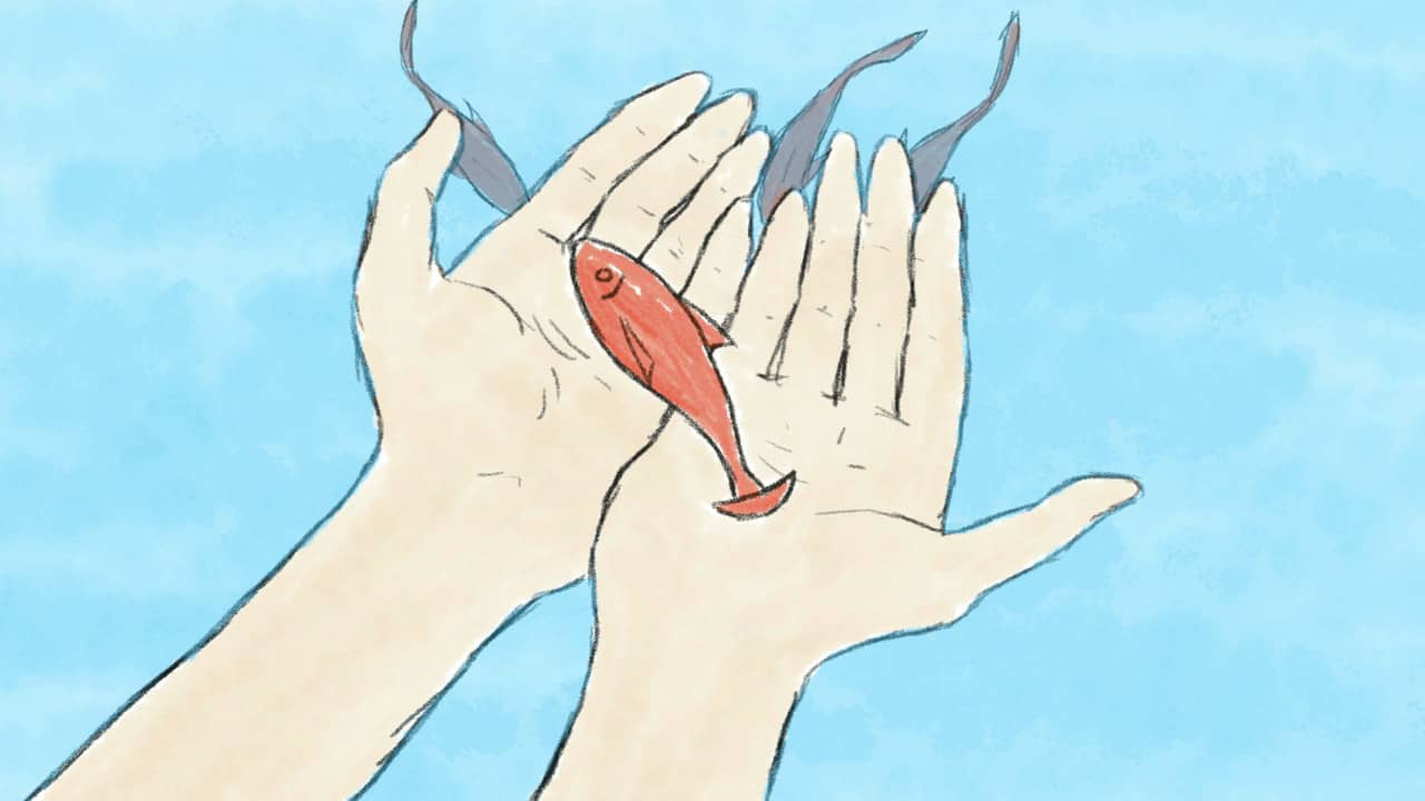 Bowl, Paper, Fish backdrop