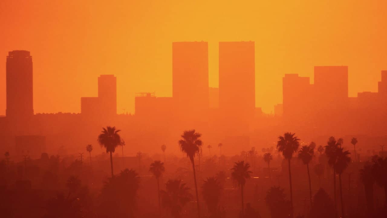 Selling L.A. backdrop