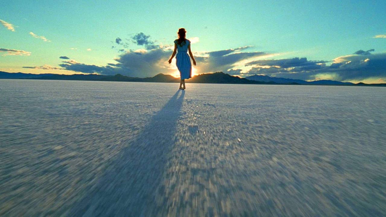 Rosy-Fingered Dawn: A Film on Terrence Malick backdrop