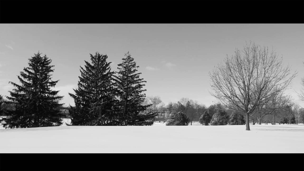 Snow day backdrop