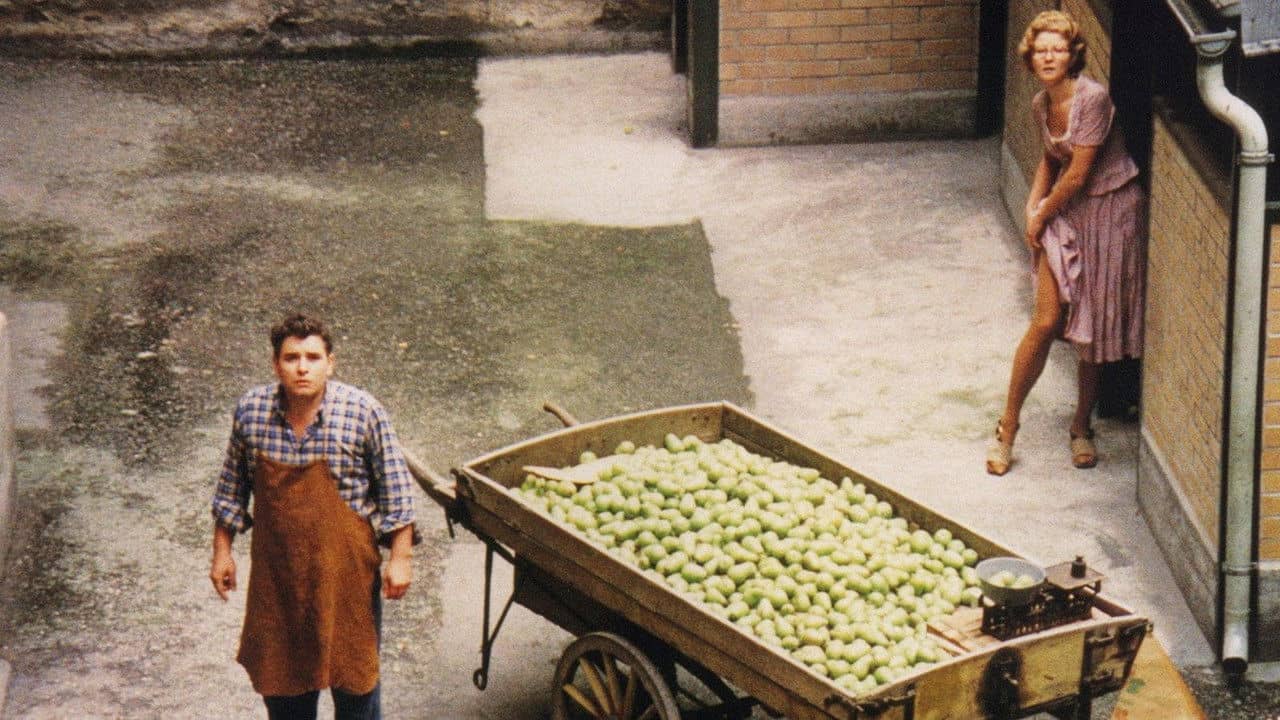 The Merchant of Four Seasons backdrop