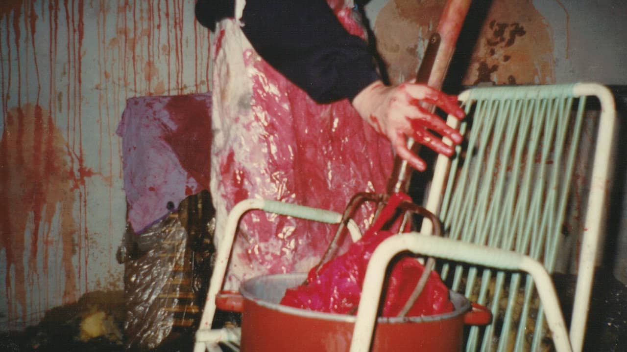 Horror Maniacs: I Want to See Pigblood! backdrop
