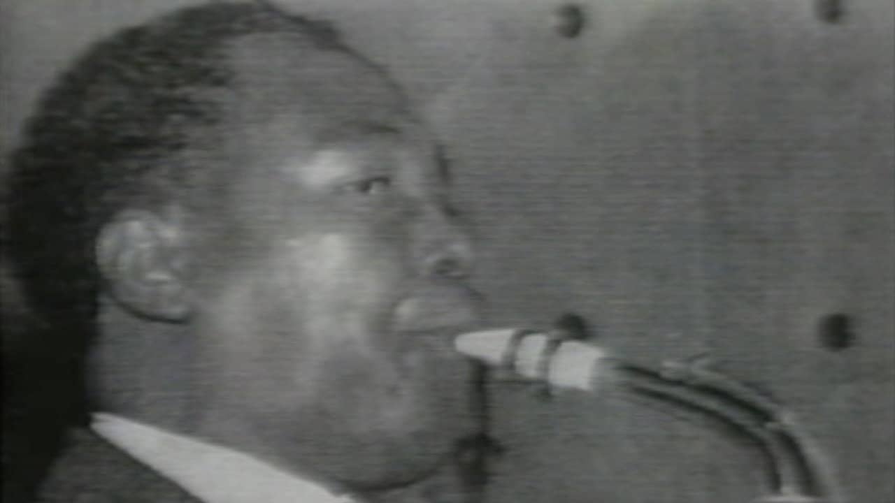 Tambo Jazz backdrop