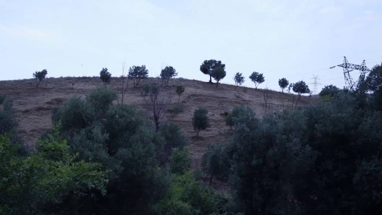 And Kiarostami Goes On backdrop