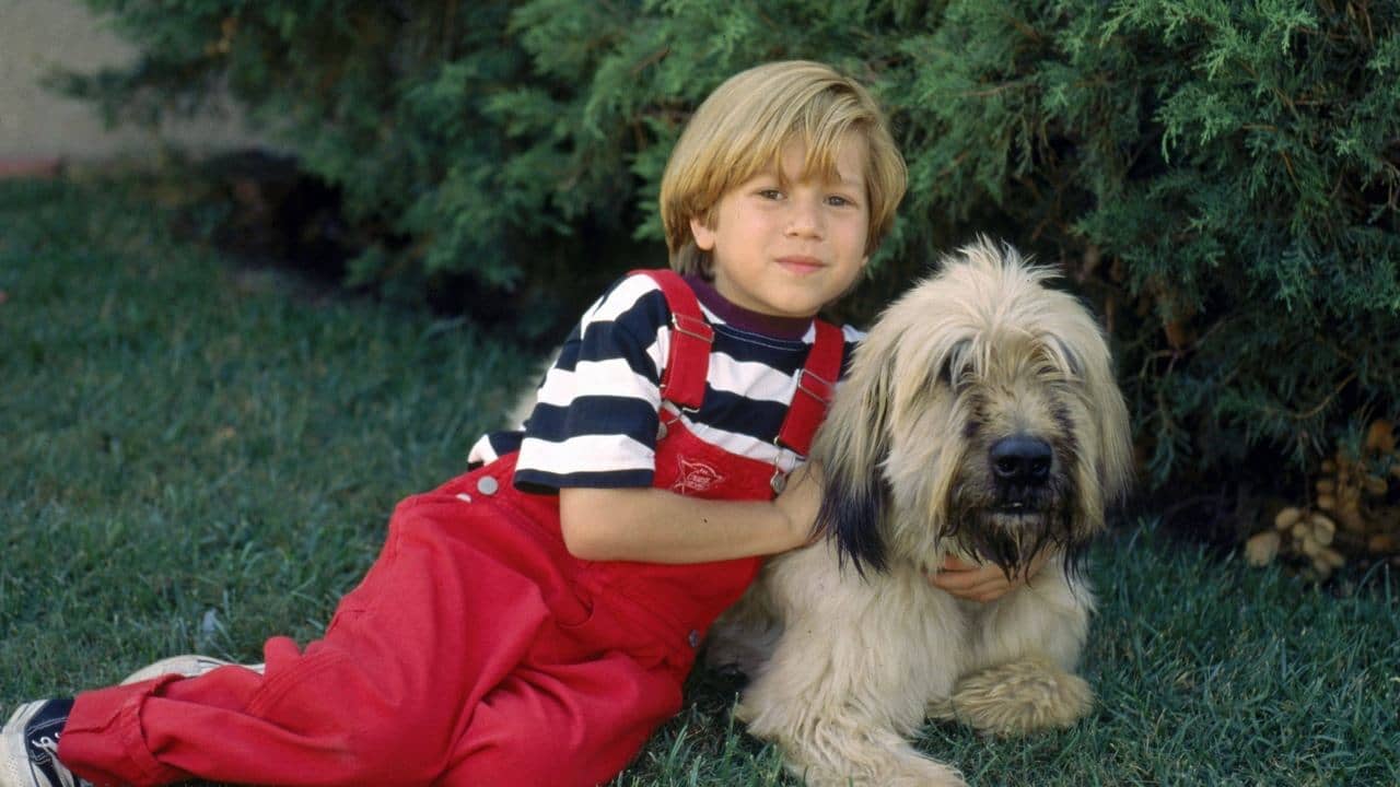 Dennis the Menace Strikes Again! backdrop