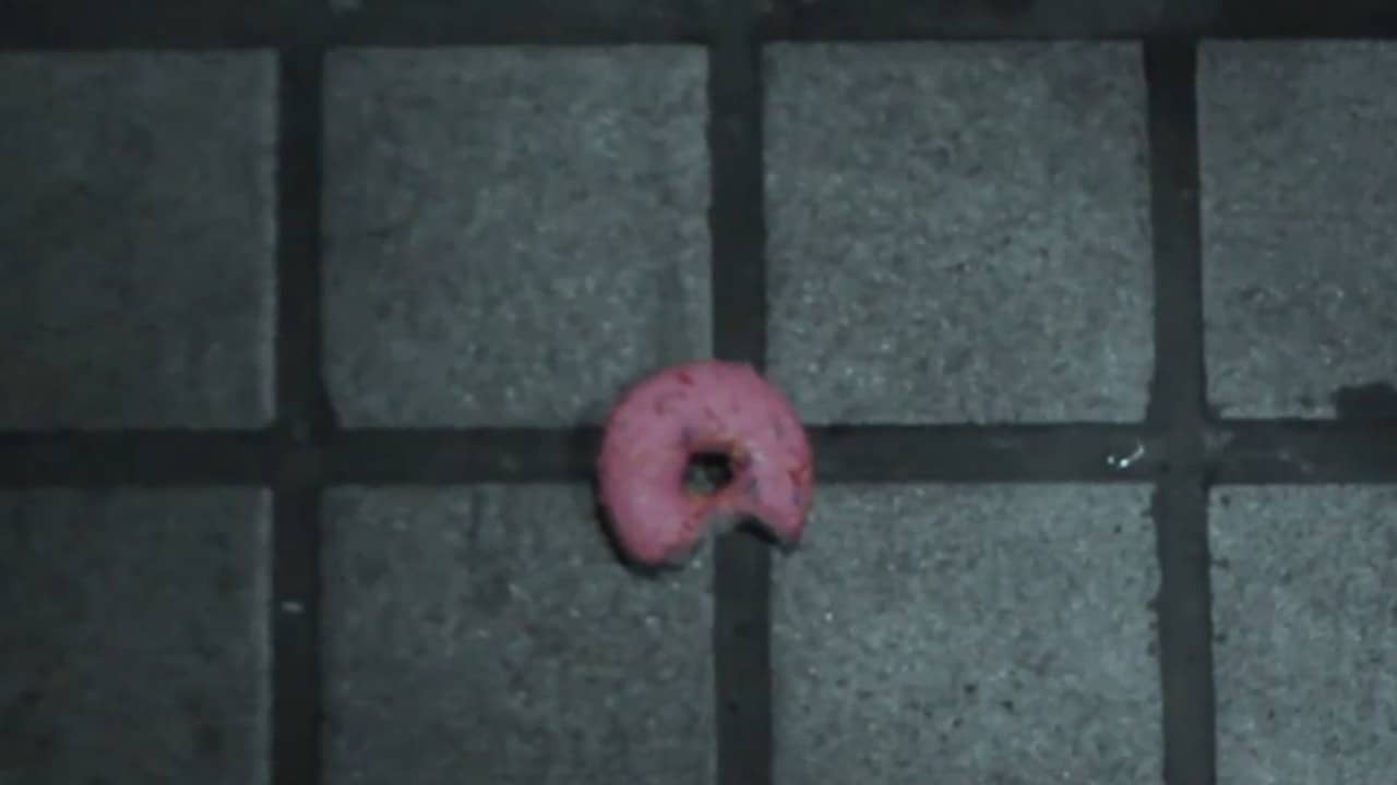 A Noble's Wheel backdrop