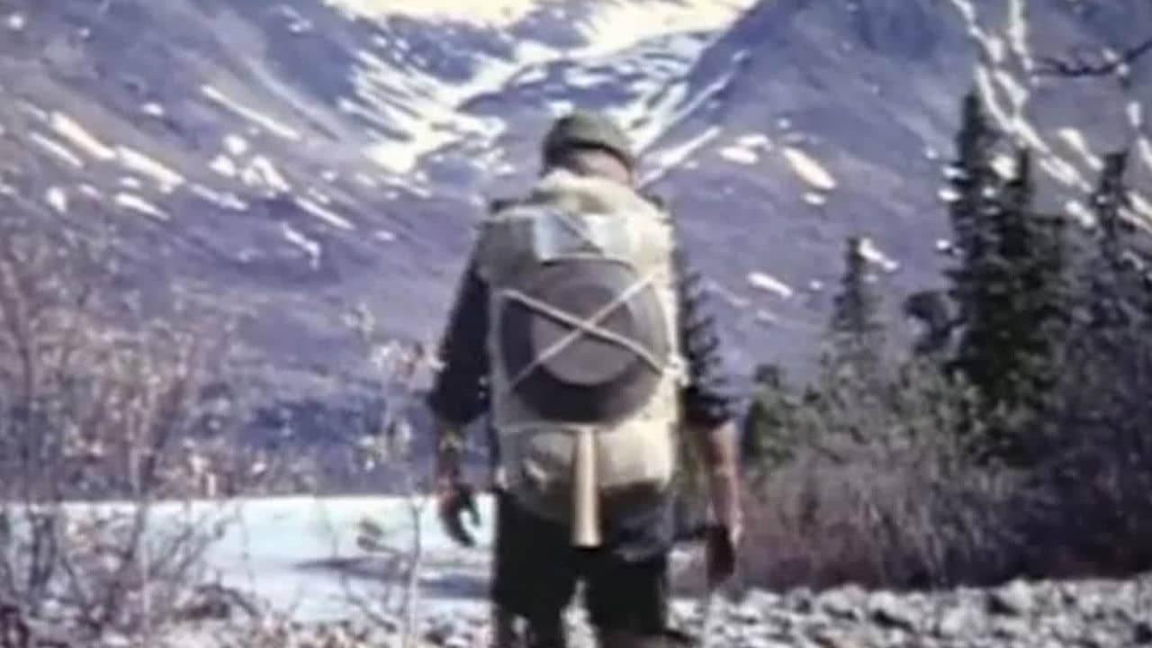 Alone in the Wilderness backdrop
