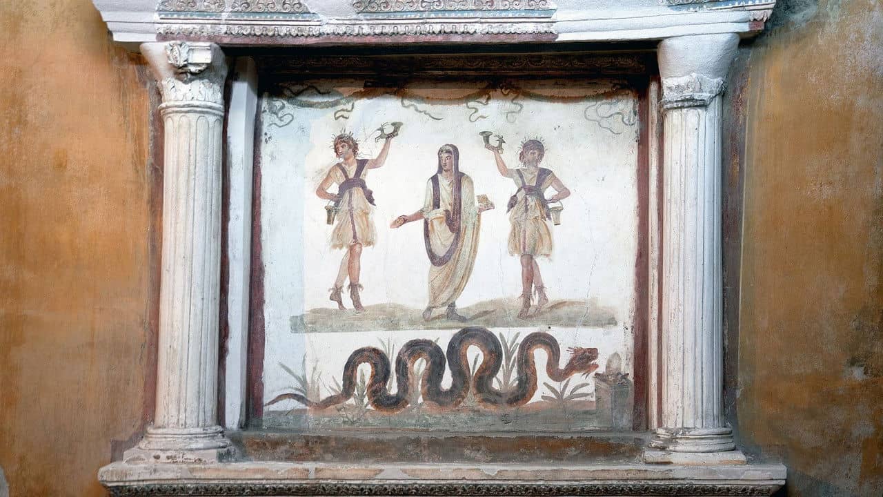 Pompeii: The New Dig backdrop