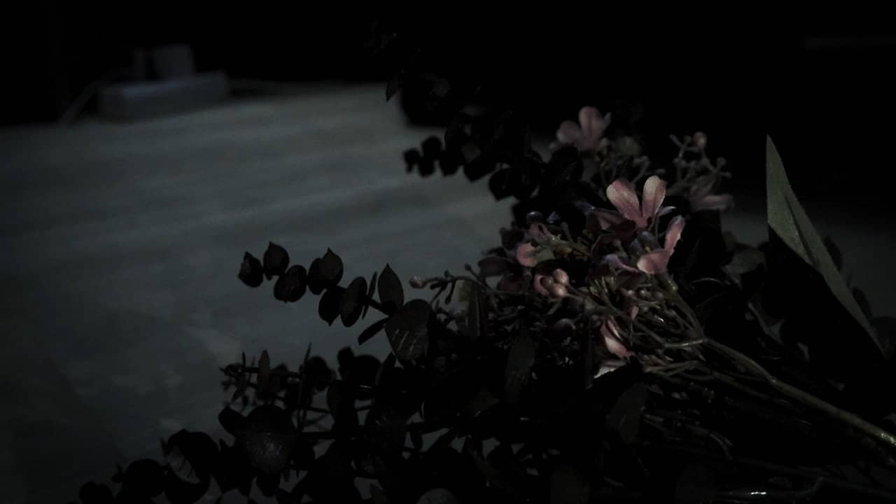 The Flower backdrop