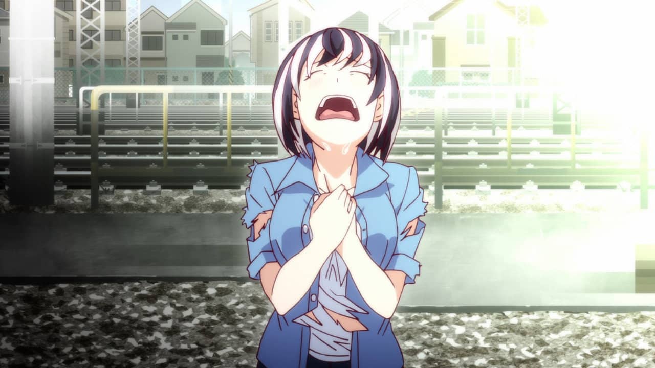 Nekomonogatari White backdrop