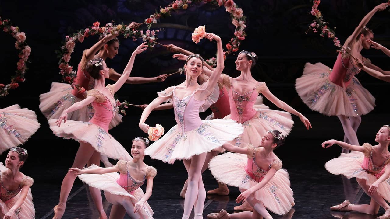 Le Corsaire backdrop