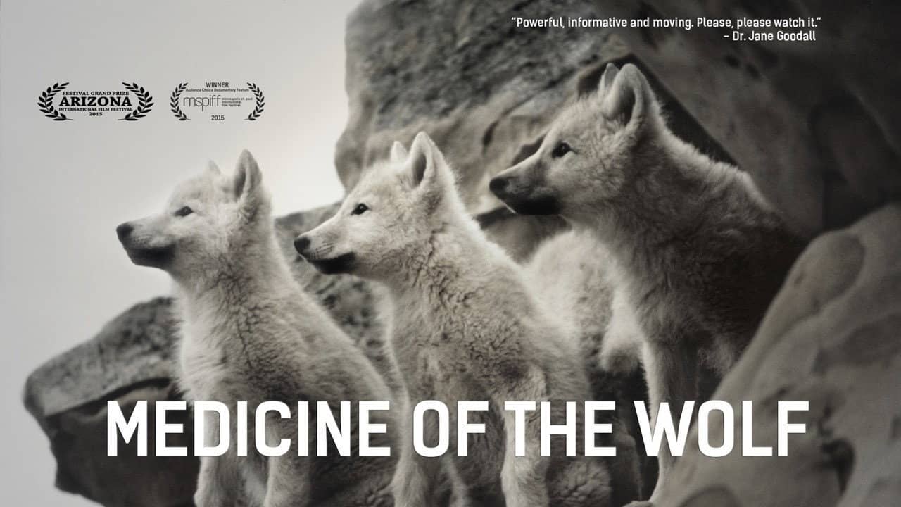 Medicine of the Wolf backdrop