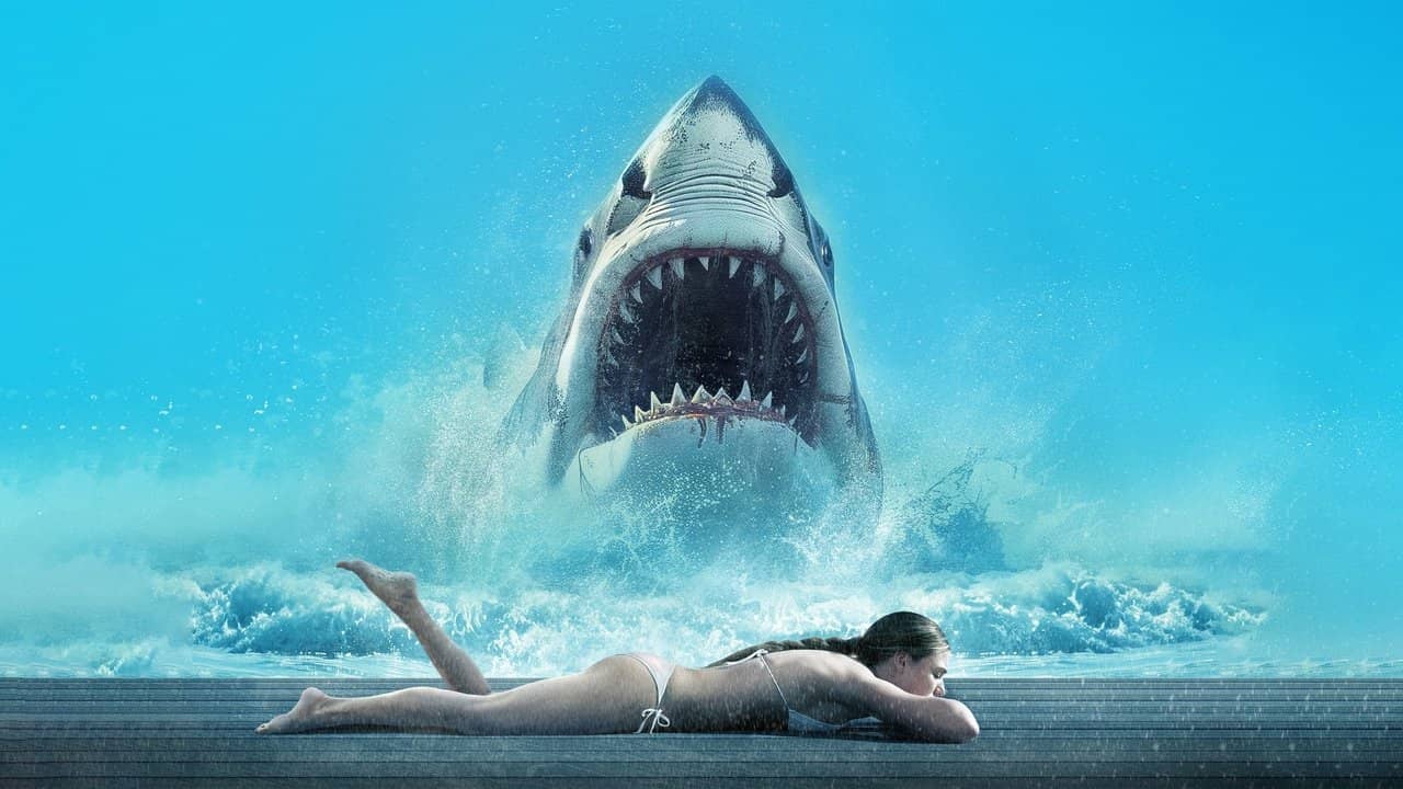 Shark Warning backdrop