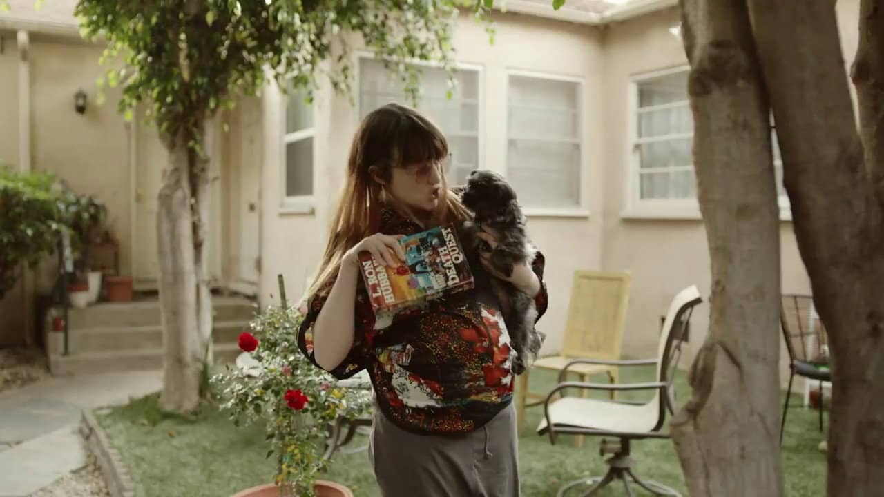 That Dog backdrop