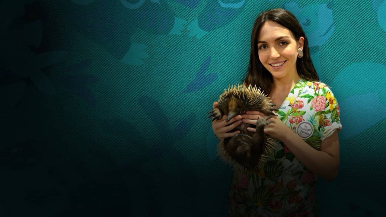 The Bizarre Pet Vets backdrop