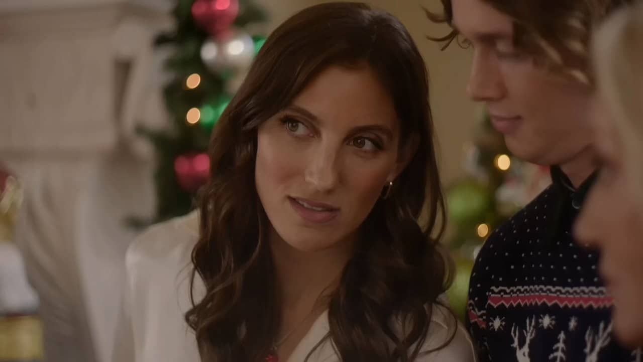 Christmas with the Foxes backdrop