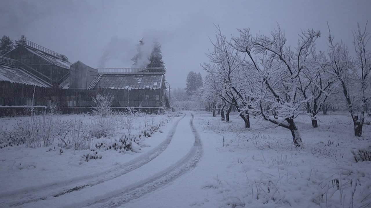 The Winter Garden's Tale backdrop