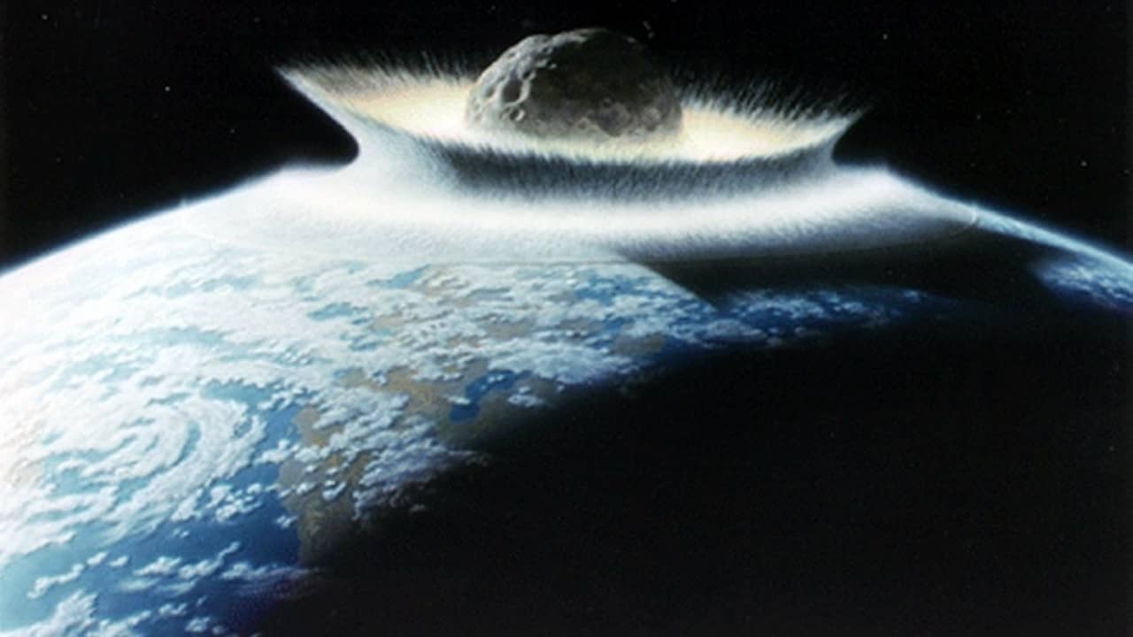 Animal Armageddon backdrop