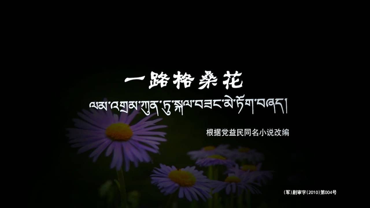 一路格桑花 backdrop