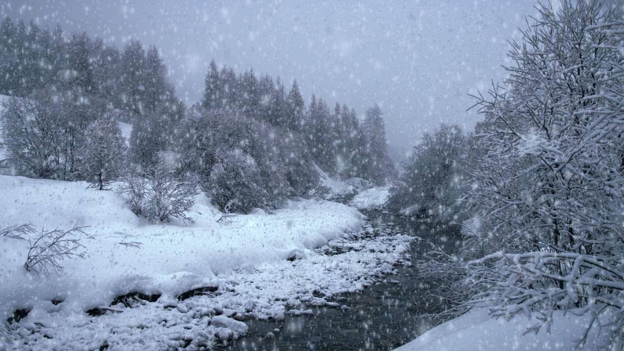 The Search for Snow backdrop