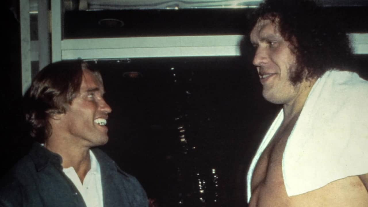 Andre the Giant backdrop