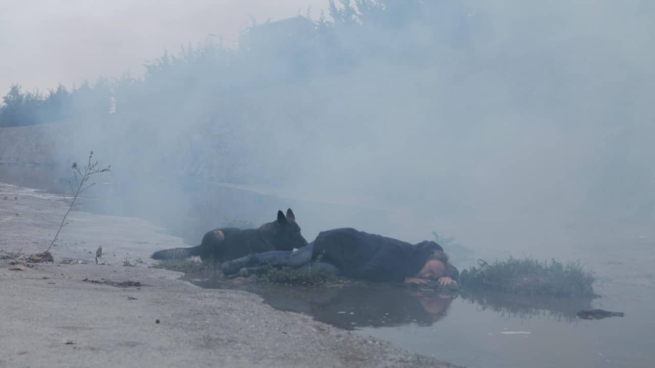 Why Can't I Be Tarkovsky? backdrop