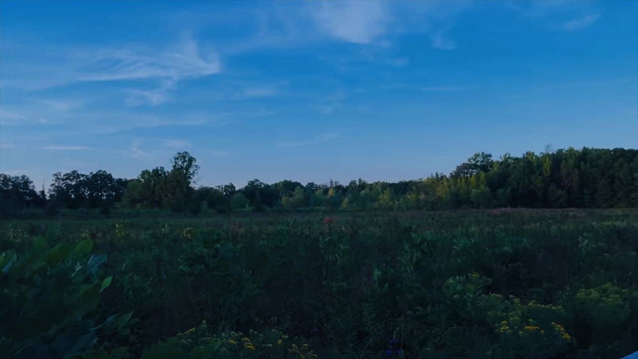 Requiem for a Lifetime backdrop