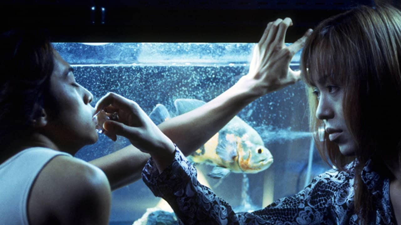Drowning Fish backdrop