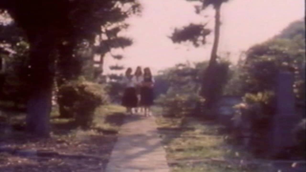 Momoco Wonderland: Strange House backdrop