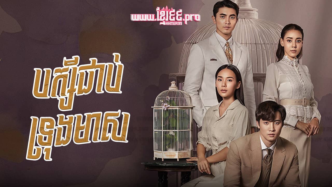 Love in a Cage backdrop