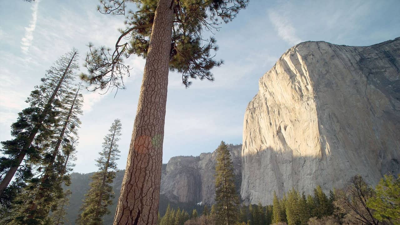 Amerikas Beste Idee - 150 Jahre Nationalparks in den USA backdrop