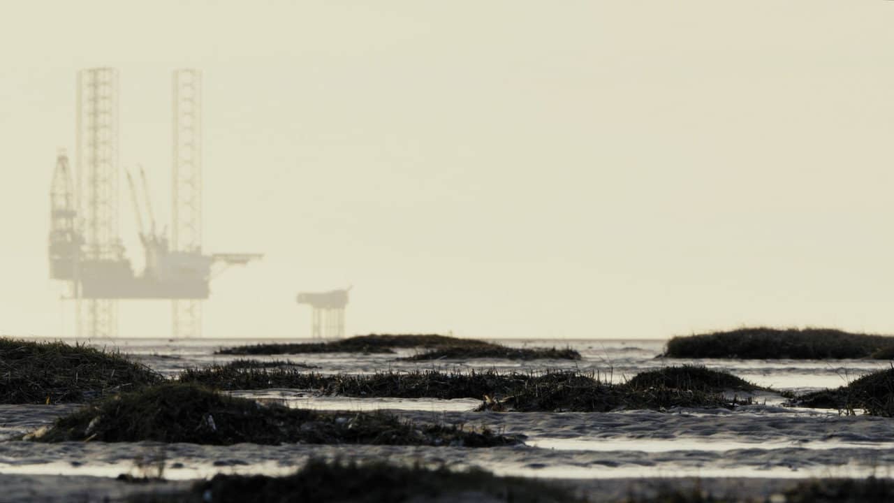 Lands Between backdrop