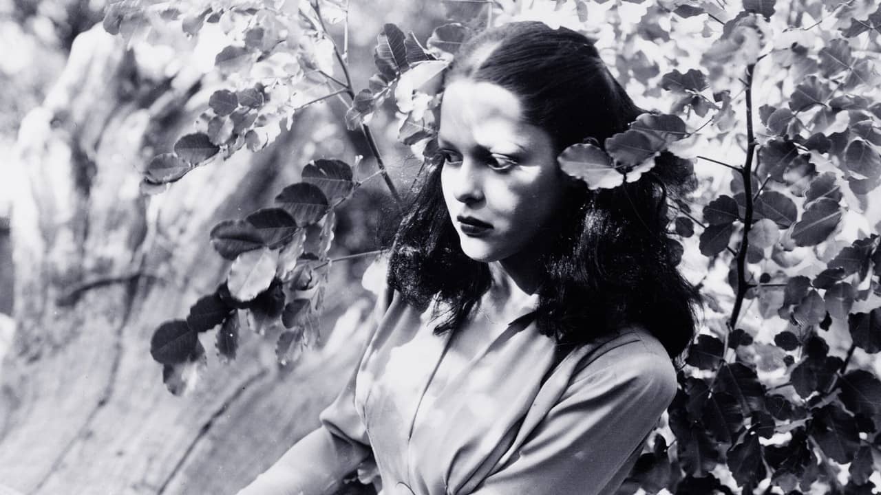 Jungle Woman backdrop