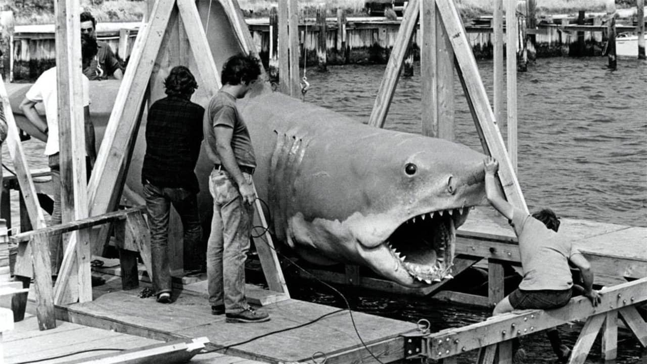 The Shark Is Still Working backdrop