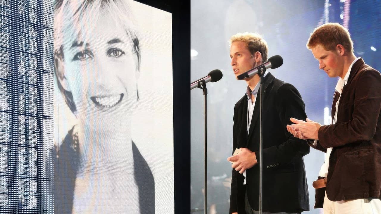 Concert for Diana backdrop