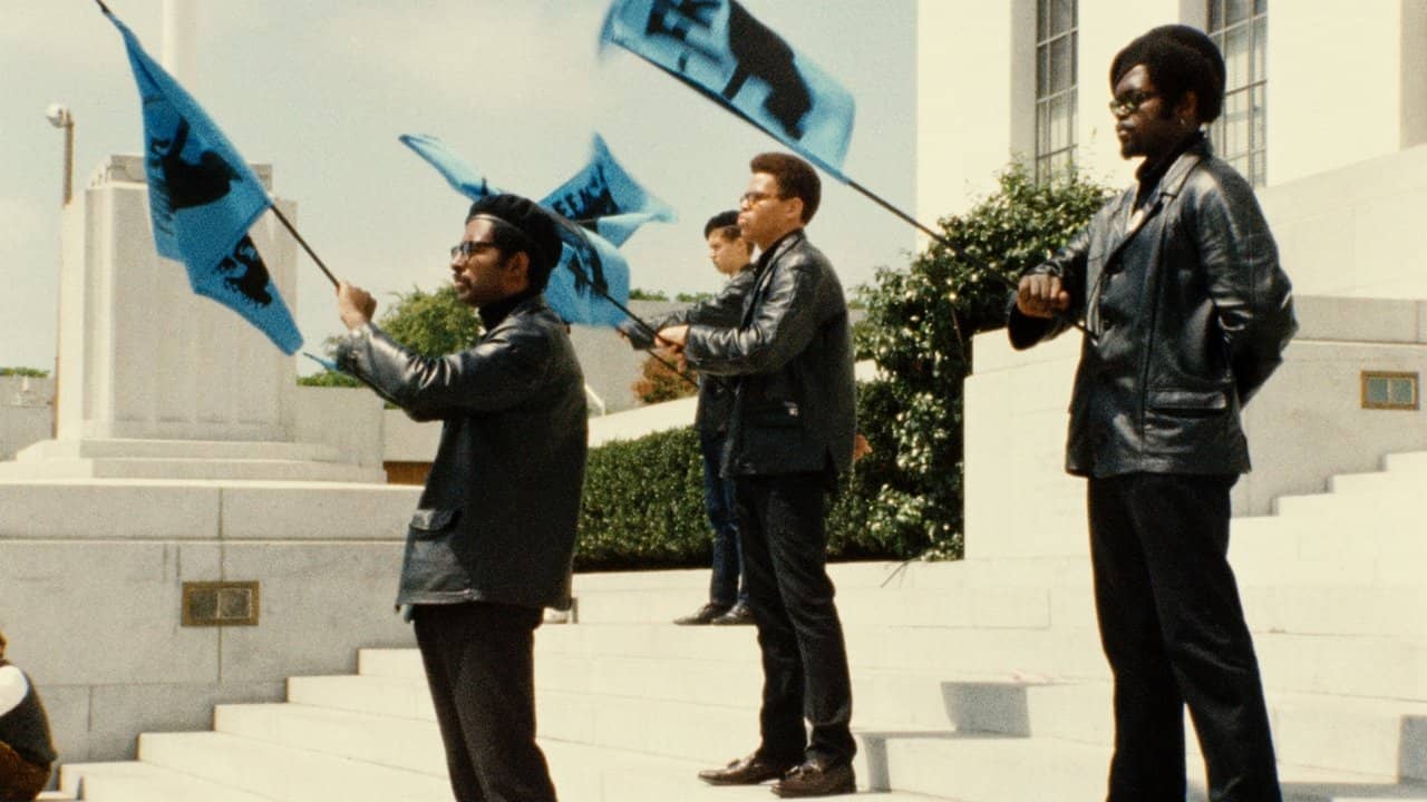 Black Panthers backdrop