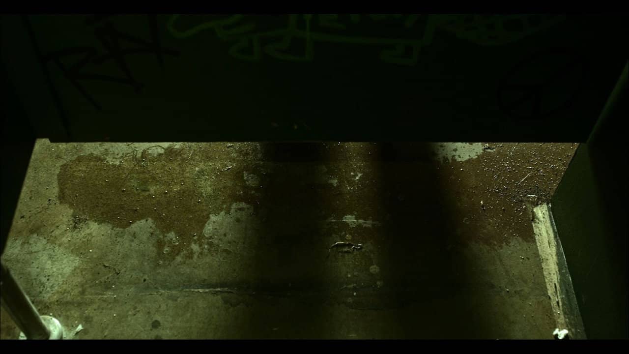 MOANS backdrop