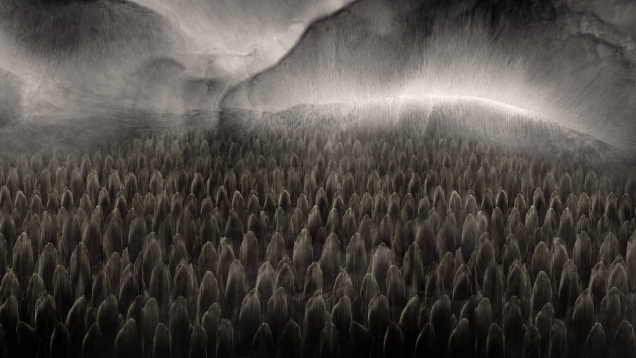 Depersonalization backdrop