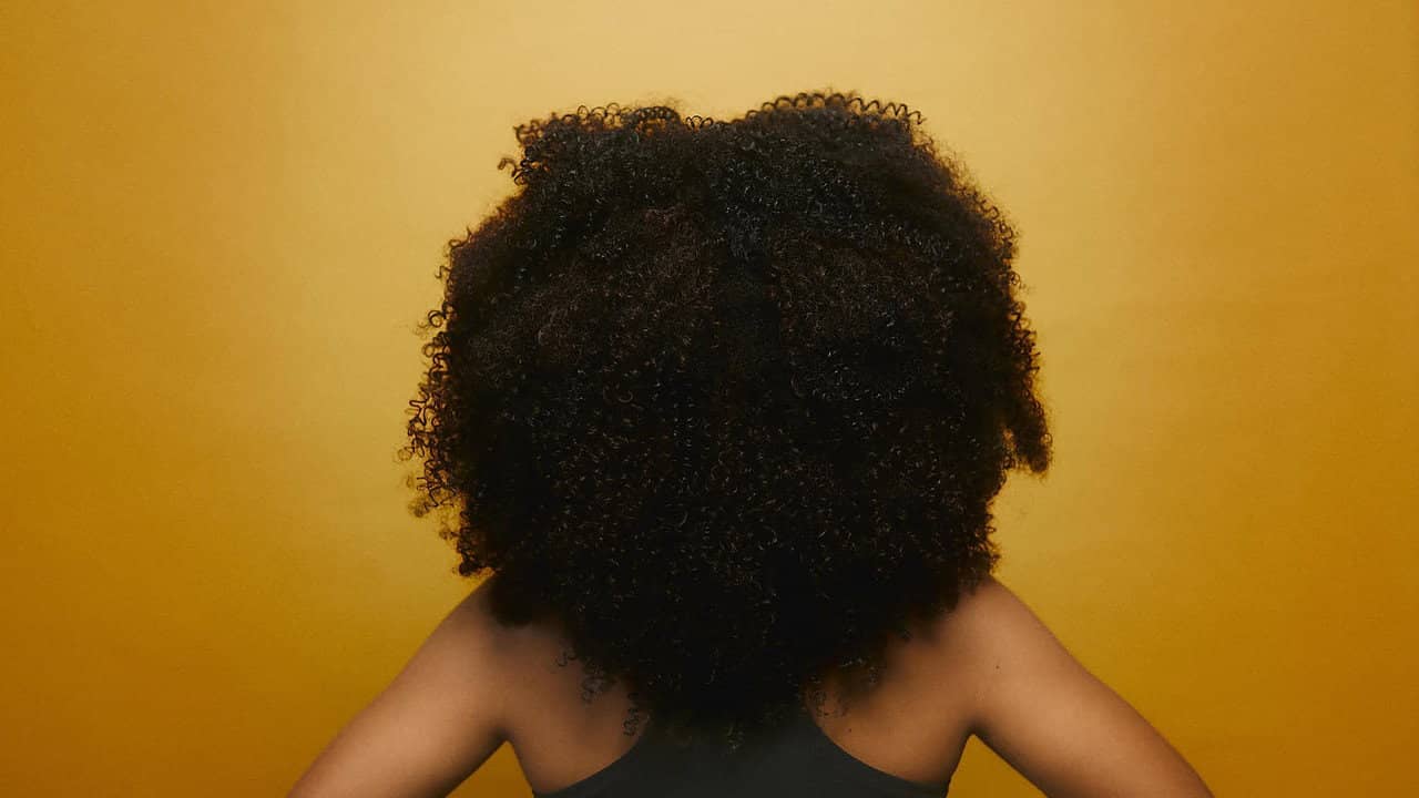 Wallflower backdrop