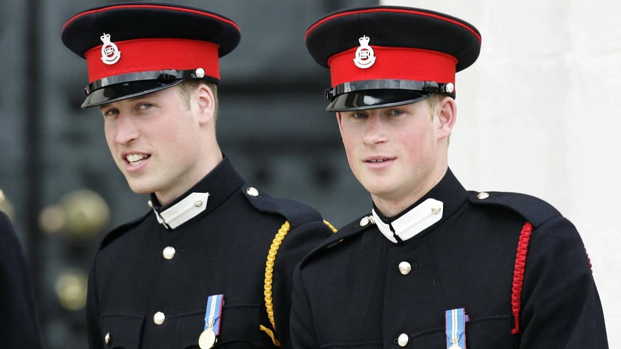 William et Harry, une saga royale backdrop