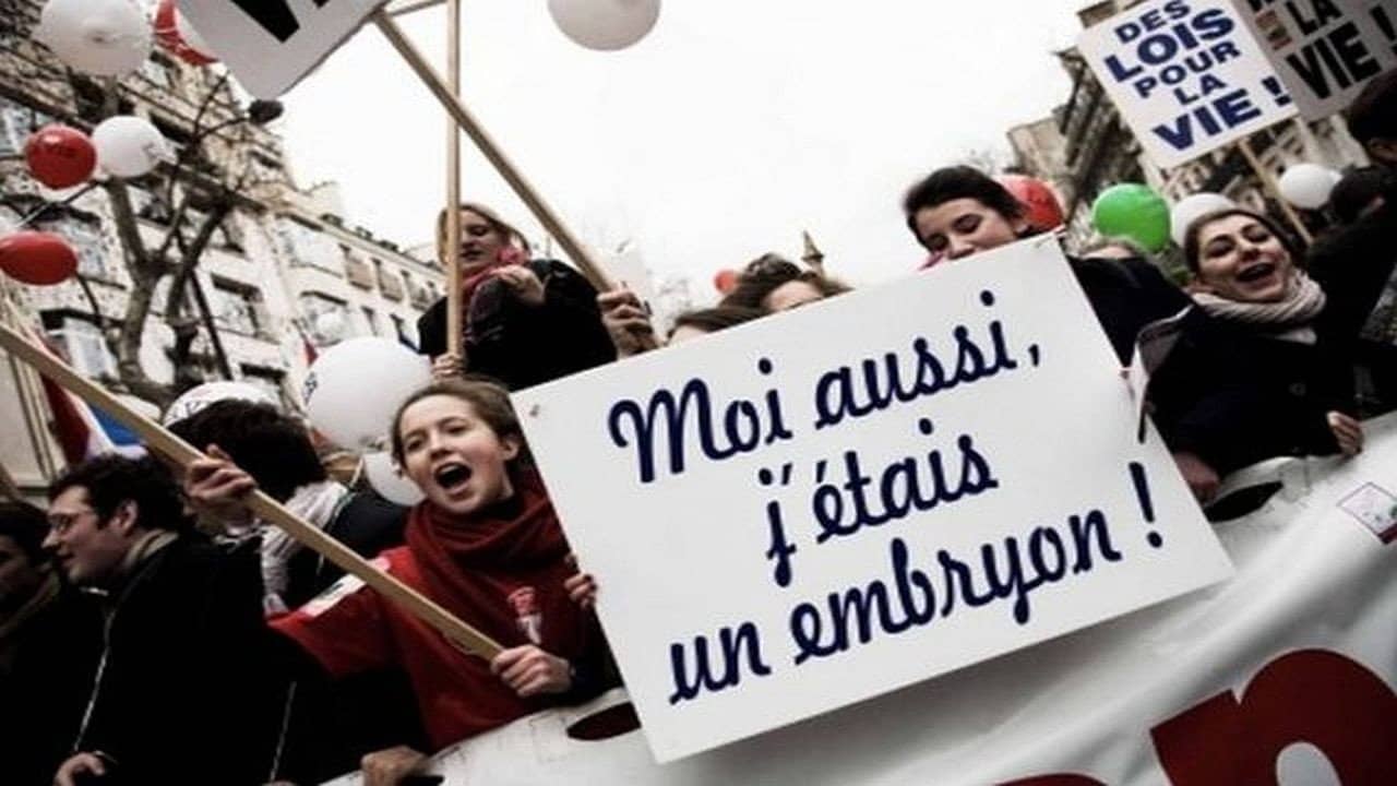 Avortement, les croisés contre-attaquent backdrop